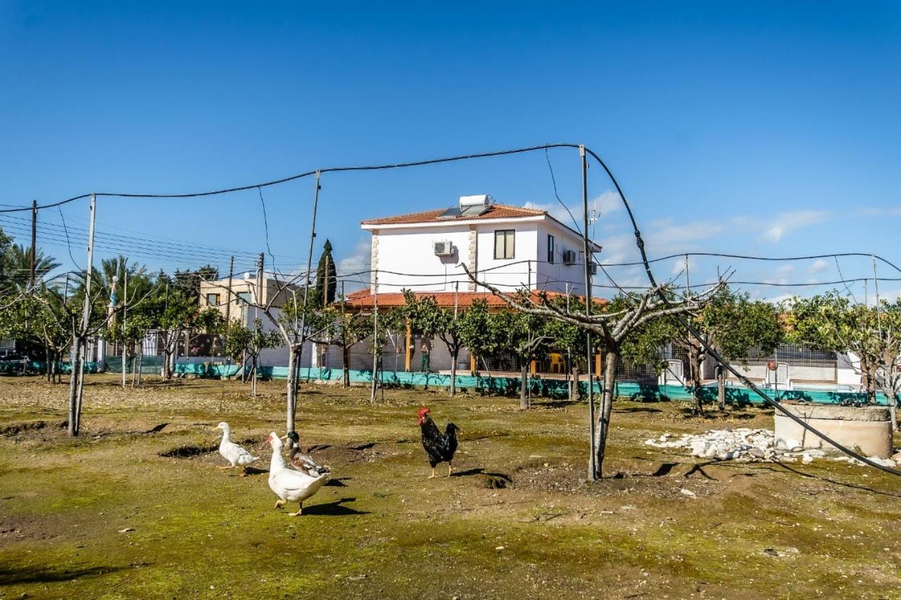 Reel Paradise Villa, Cyprus ลาร์นาคา ภายนอก รูปภาพ